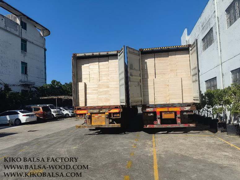 conew_9505c6784082e08741d68380c98f885c (1).jpg